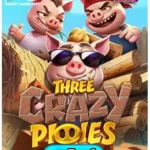 Three Crazy Piggies