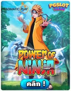 Power of Ninja